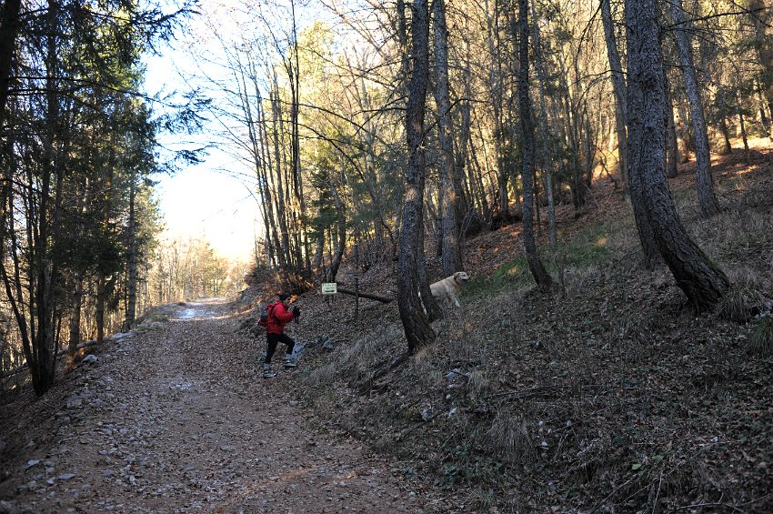 02 - Zorzone - Cima Menna.JPG